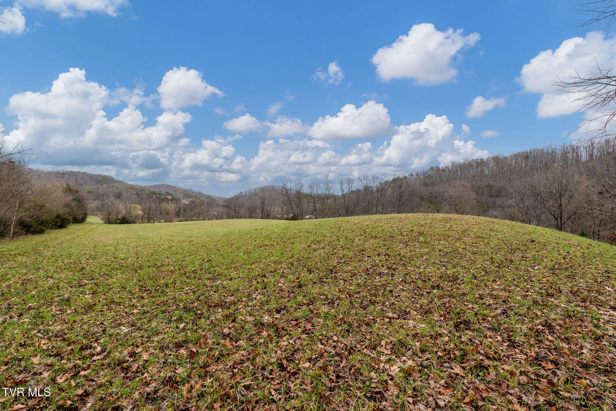 Tbd Piney Flats Road Watauga, TN 37694 - Photo 30 of 60 DSC07381