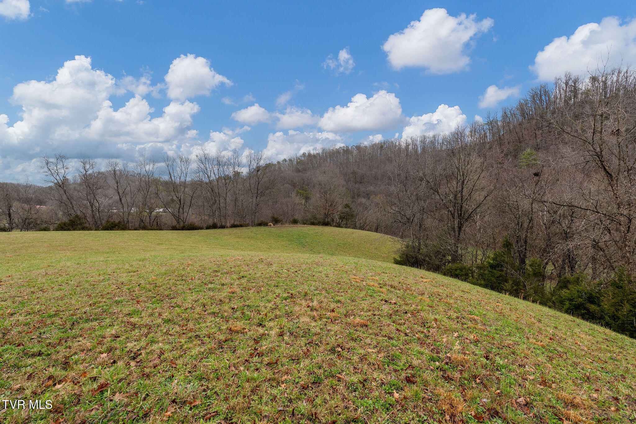 Tbd Piney Flats Road Watauga, TN 37694 - Photo 32 of 60 DSC07383