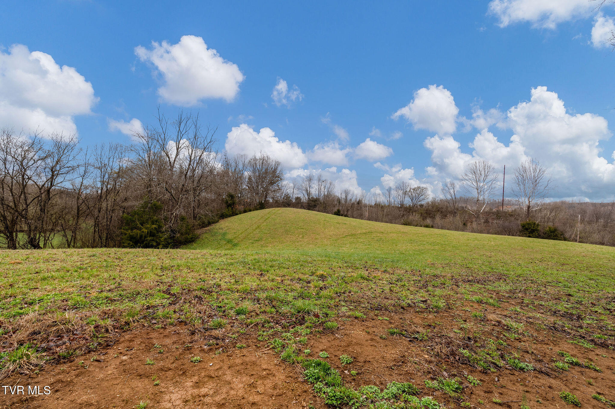 Tbd Piney Flats Road Watauga, TN 37694 - Photo 33 of 60 DSC07384
