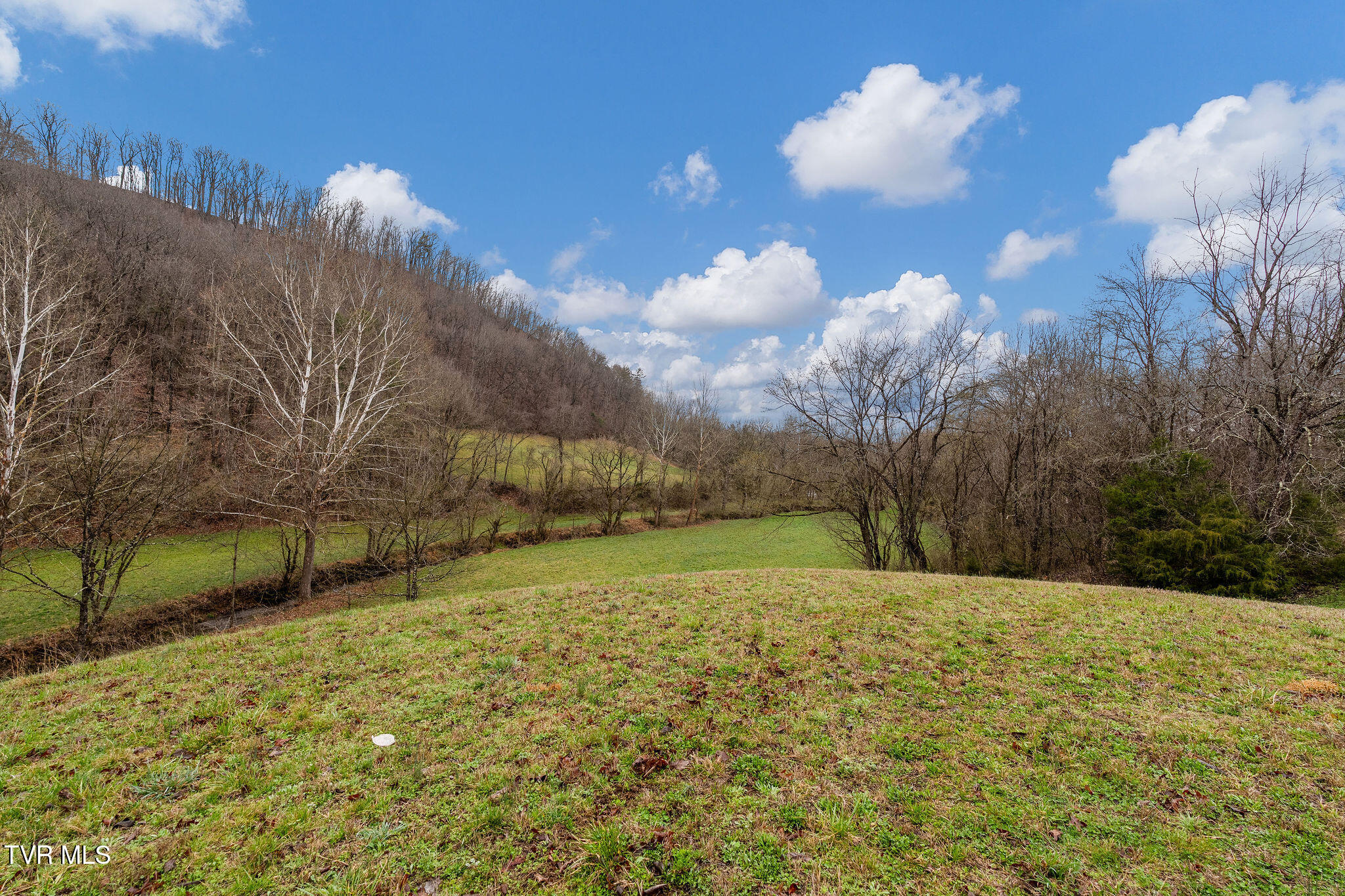 Tbd Piney Flats Road Watauga, TN 37694 - Photo 34 of 60 DSC07385