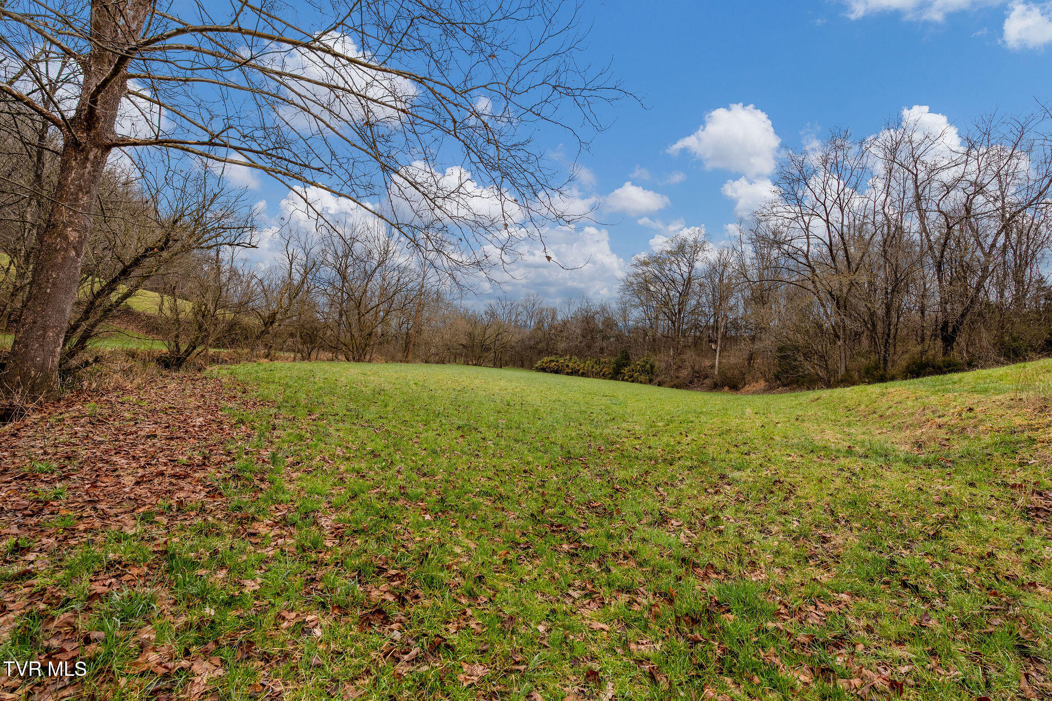 Tbd Piney Flats Road Watauga, TN 37694 - Photo 35 of 60 DSC07386