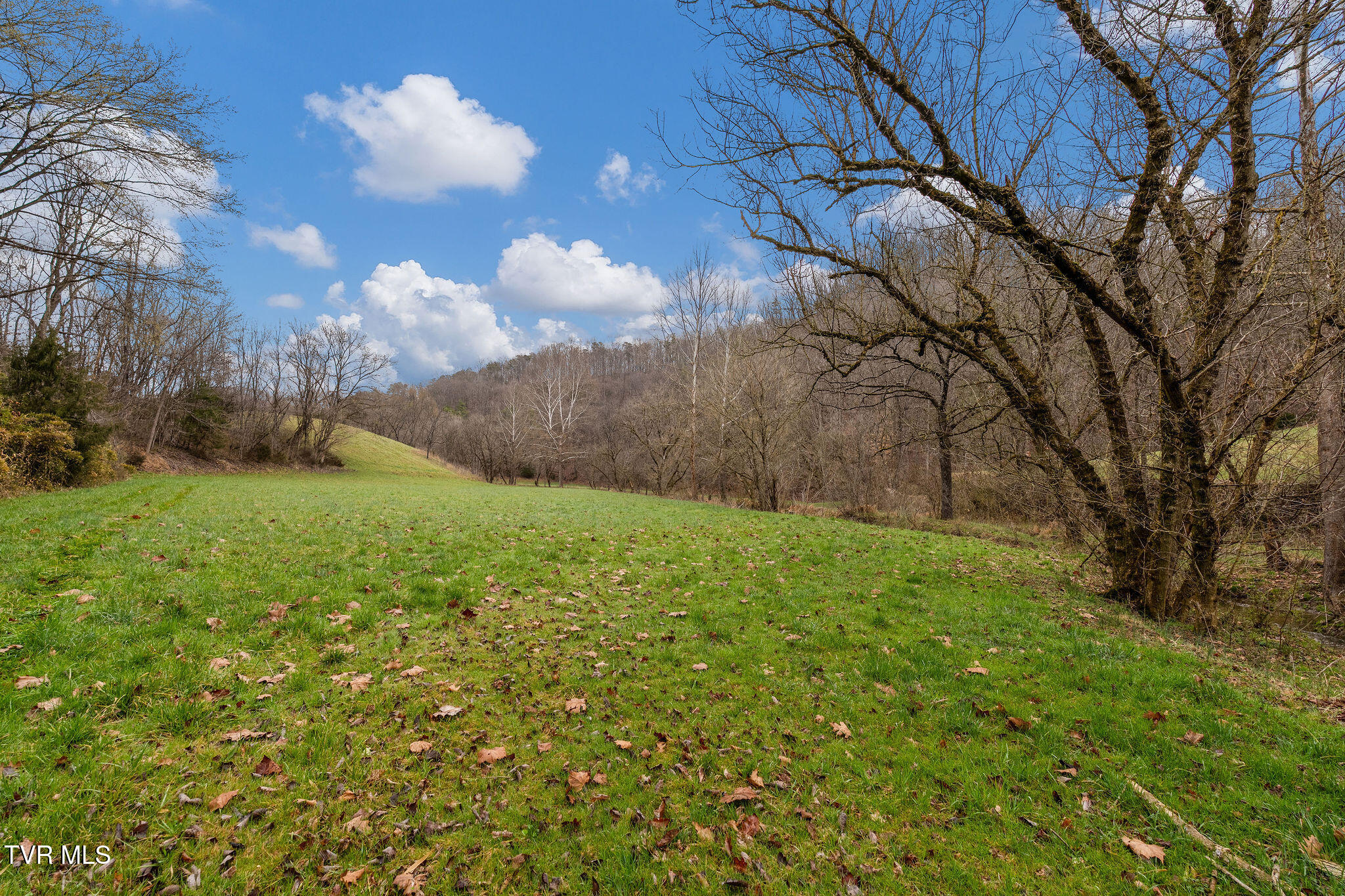 Tbd Piney Flats Road Watauga, TN 37694 - Photo 36 of 60 DSC07389