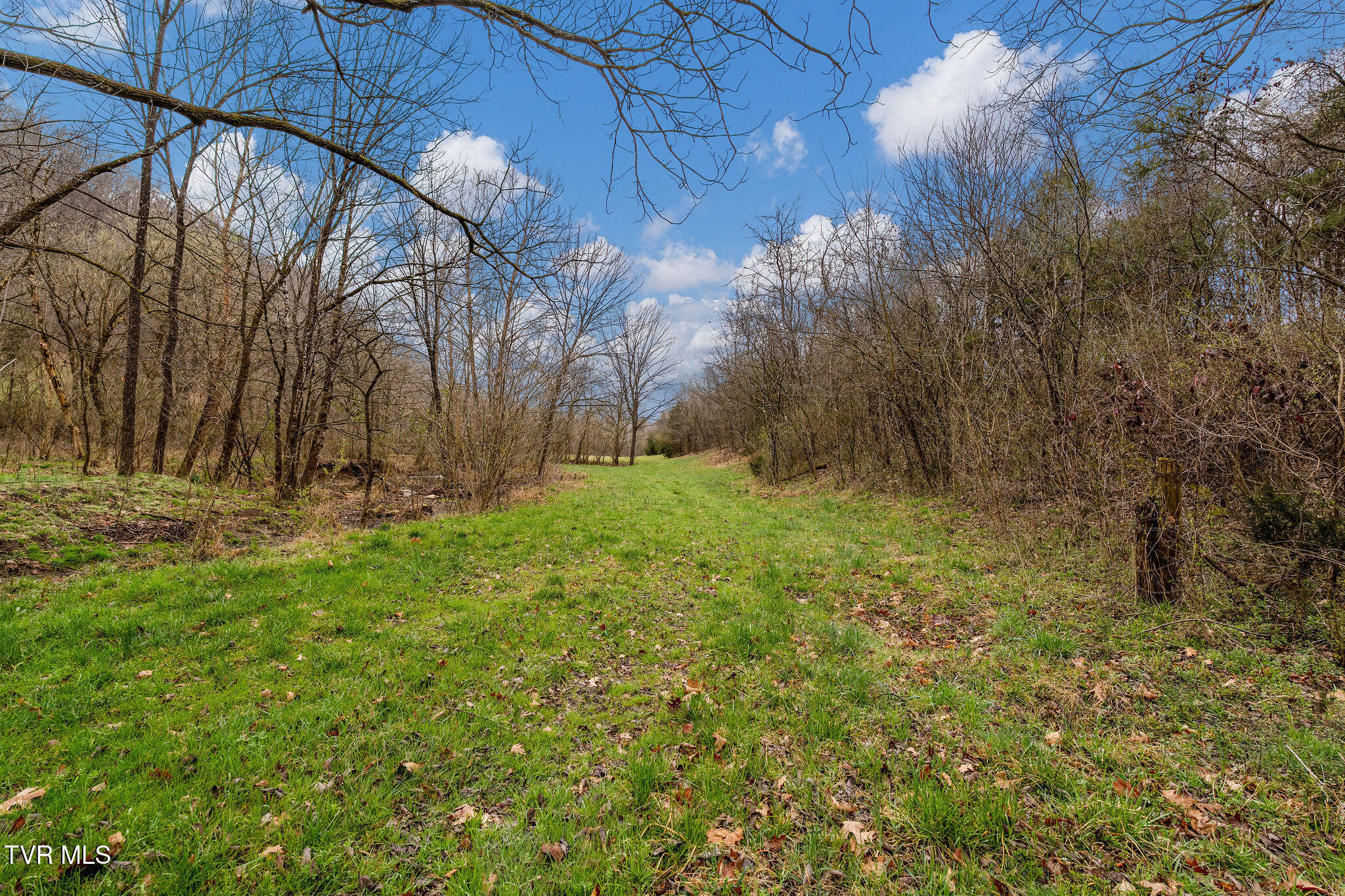 Tbd Piney Flats Road Watauga, TN 37694 - Photo 37 of 60 DSC07390