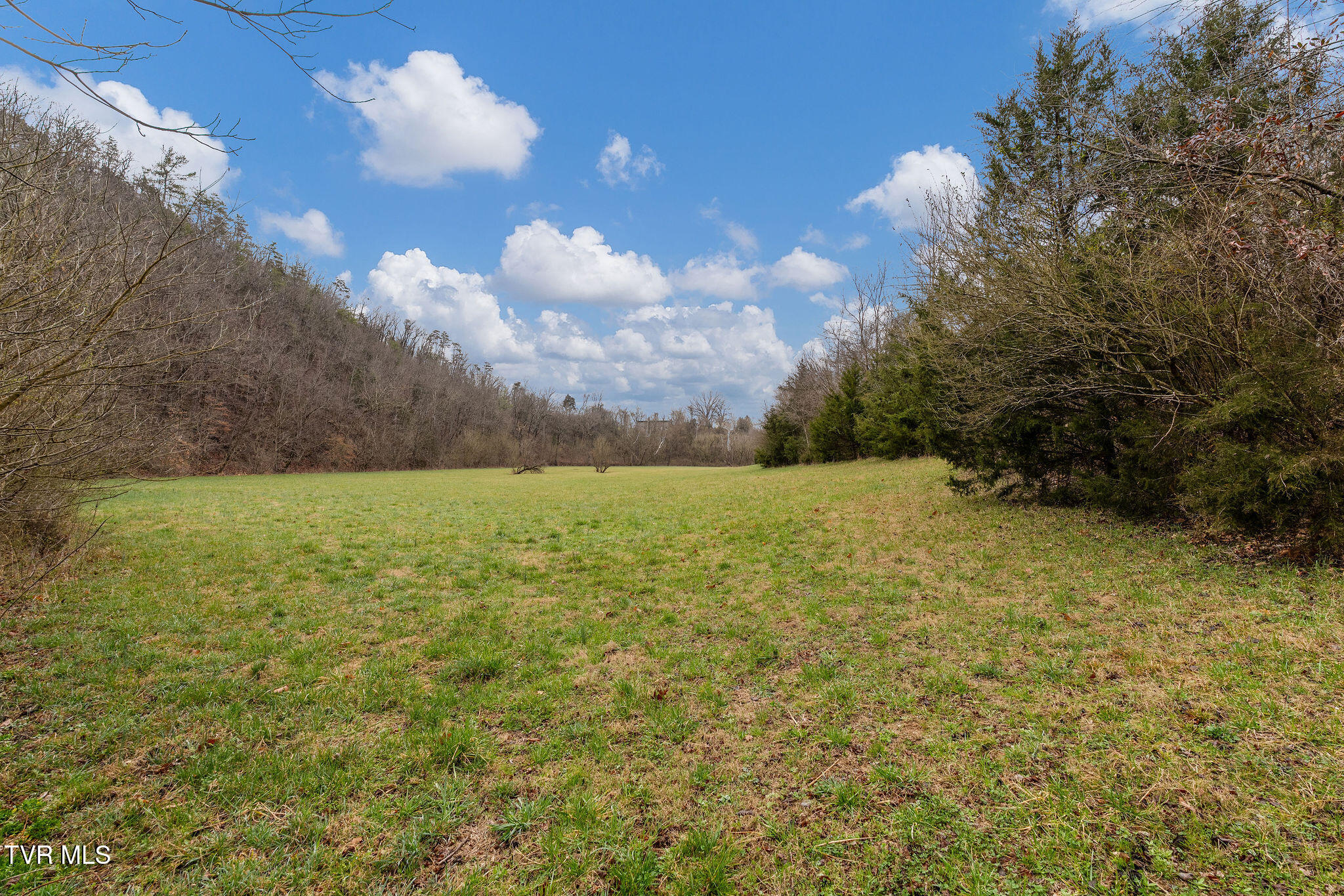 Tbd Piney Flats Road Watauga, TN 37694 - Photo 38 of 60 DSC07391