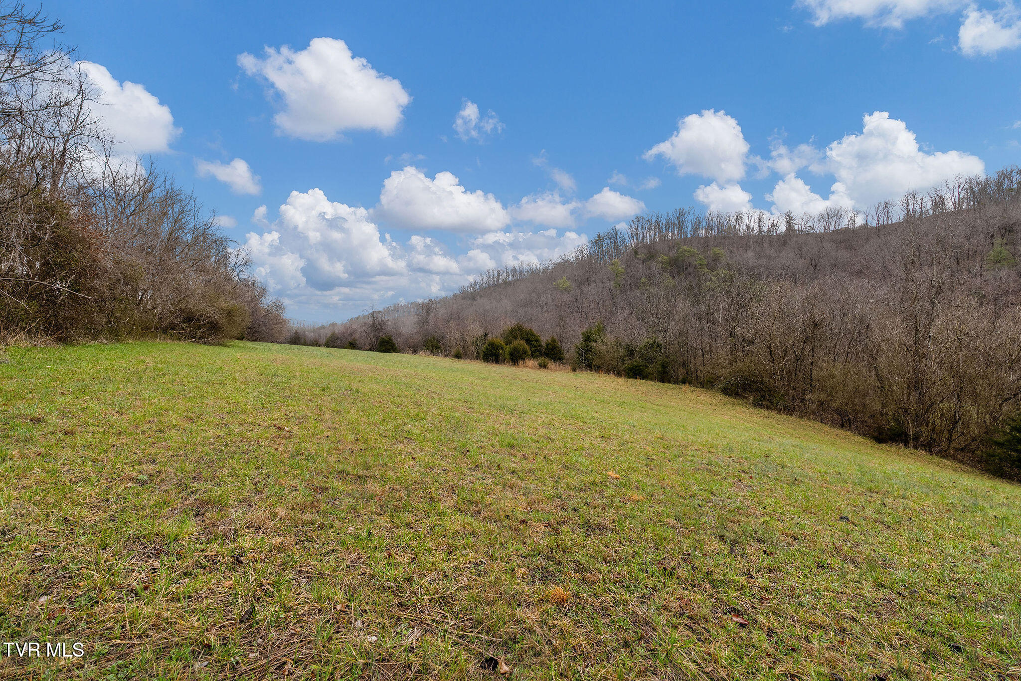 Tbd Piney Flats Road Watauga, TN 37694 - Photo 39 of 60 DSC07393