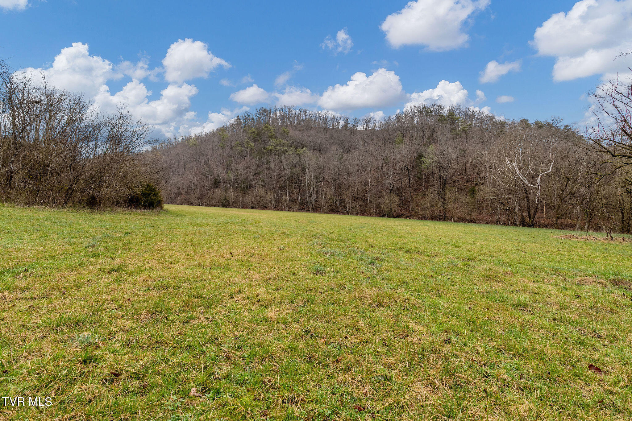 Tbd Piney Flats Road Watauga, TN 37694 - Photo 40 of 60 DSC07394