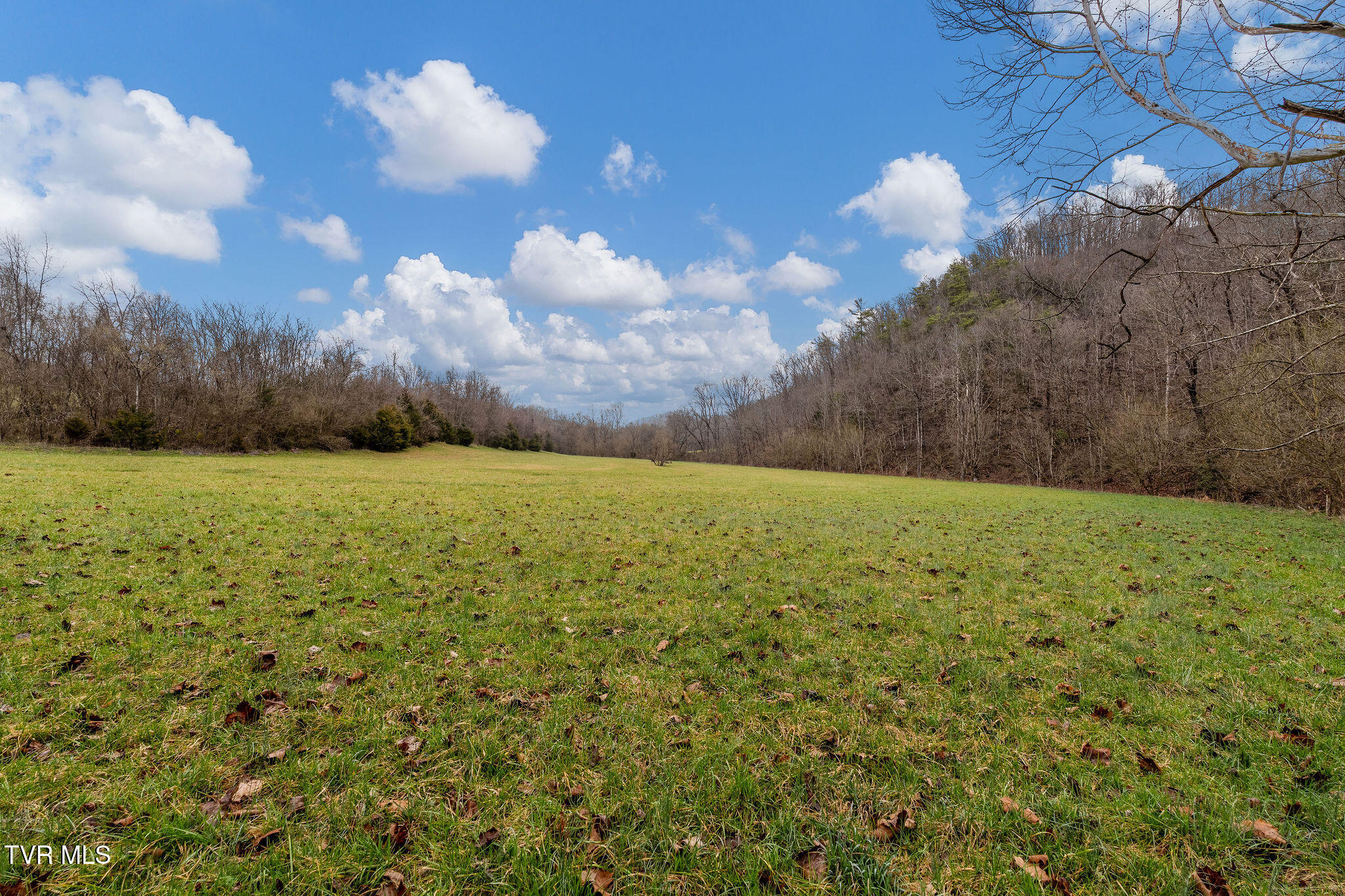 Tbd Piney Flats Road Watauga, TN 37694 - Photo 41 of 60 DSC07395