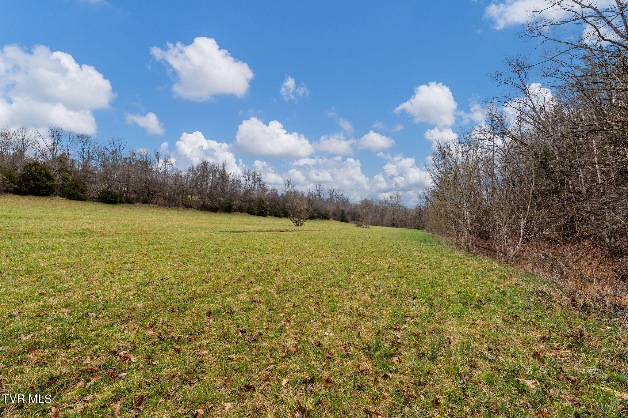 Tbd Piney Flats Road Watauga, TN 37694 - Photo 42 of 60 DSC07397