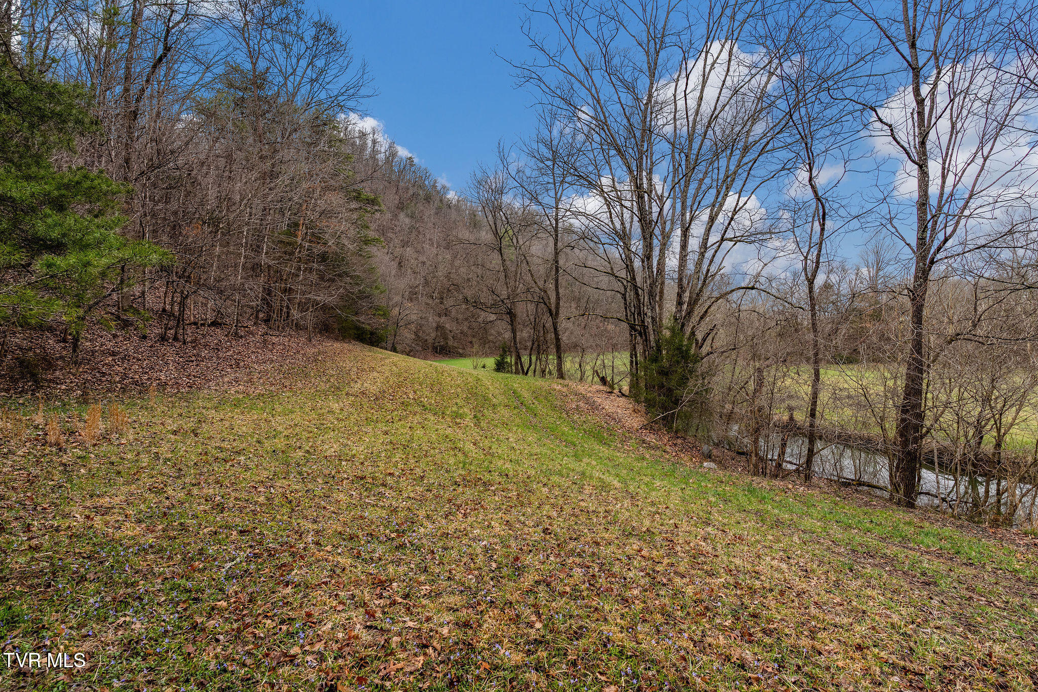 Tbd Piney Flats Road Watauga, TN 37694 - Photo 44 of 60 DSC07401