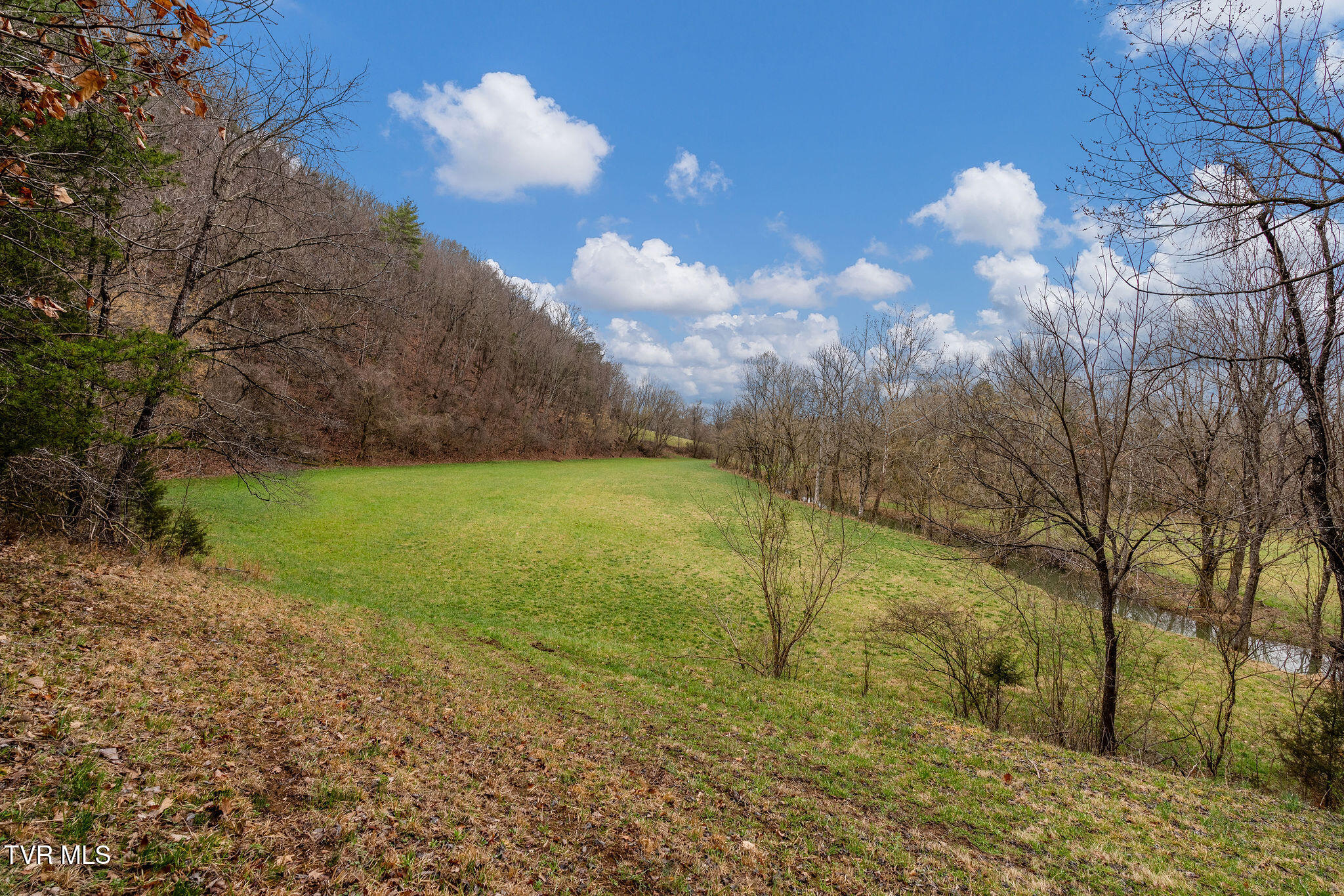 Tbd Piney Flats Road Watauga, TN 37694 - Photo 45 of 60 DSC07402