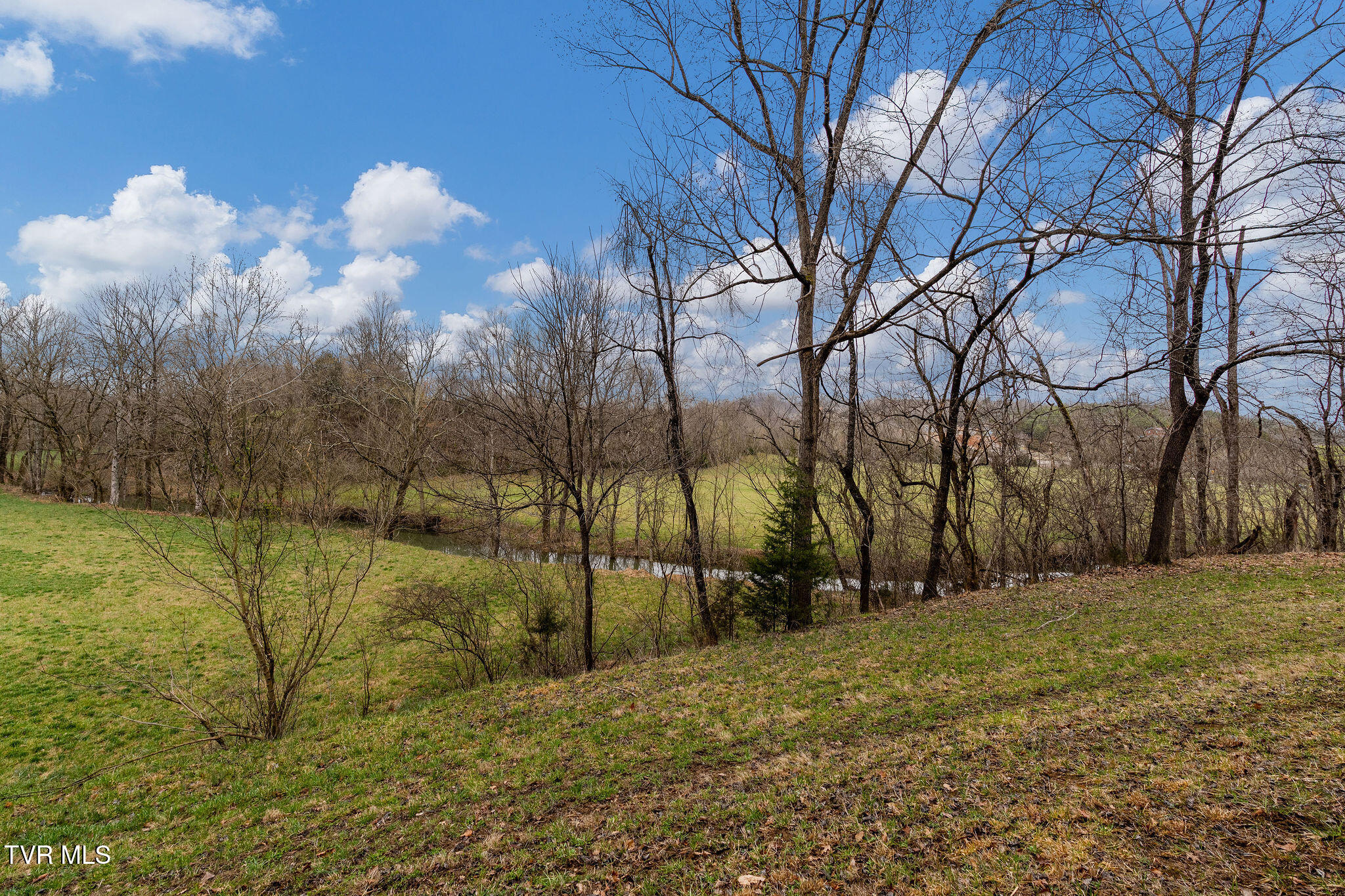 Tbd Piney Flats Road Watauga, TN 37694 - Photo 46 of 60 DSC07403