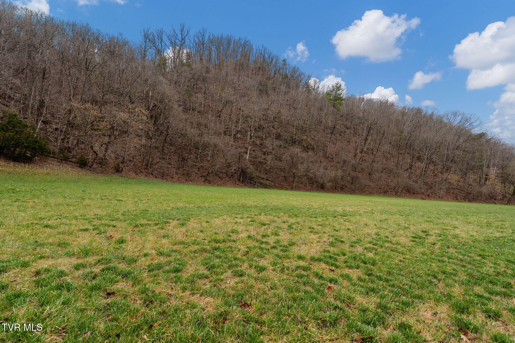 Tbd Piney Flats Road Watauga, TN 37694 - Photo 47 of 60 DSC07405