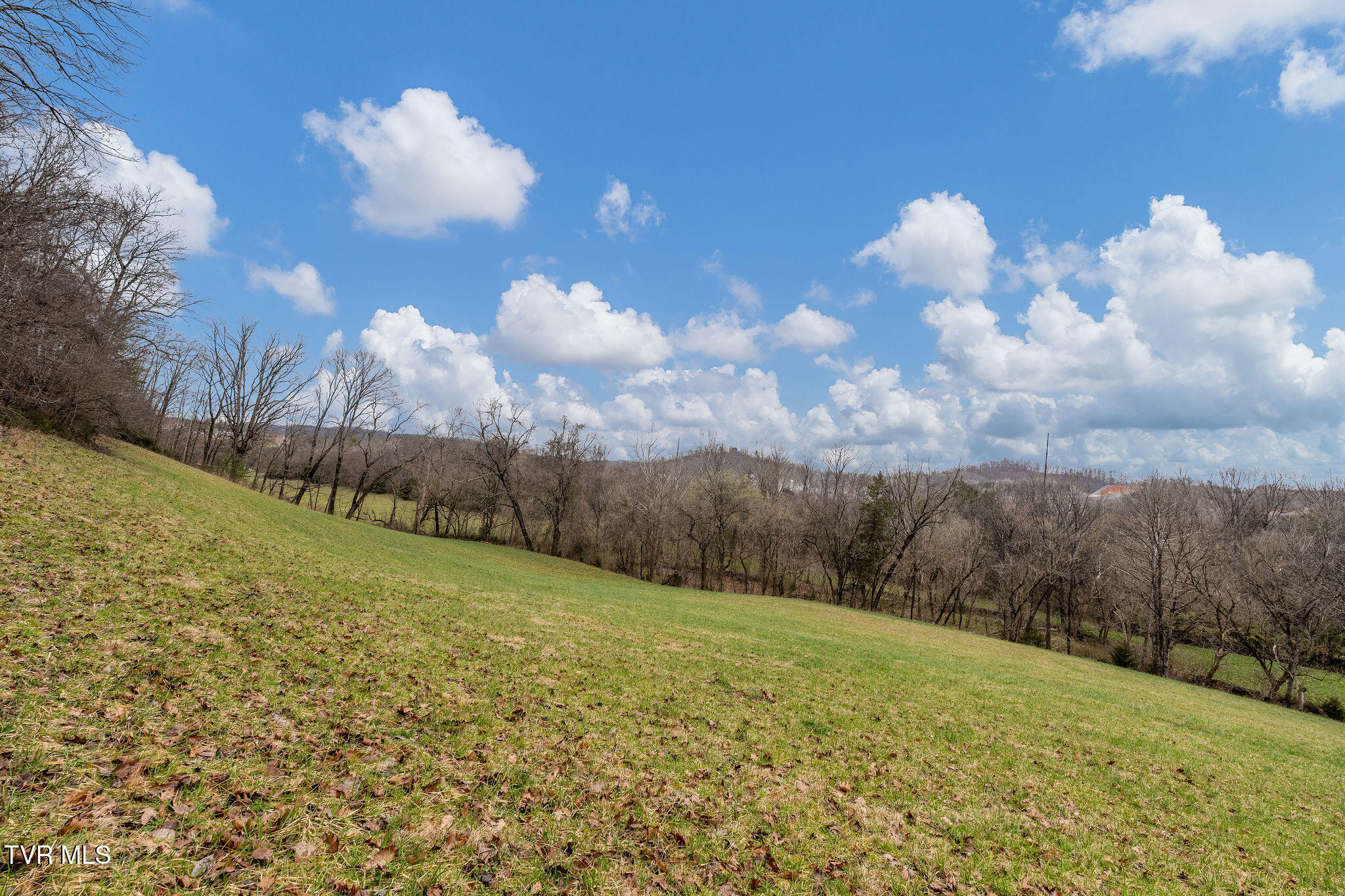 Tbd Piney Flats Road Watauga, TN 37694 - Photo 48 of 60 DSC07410