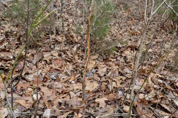 $550,000 | Tbd Piney Flats Road, Watauga, TN 37694