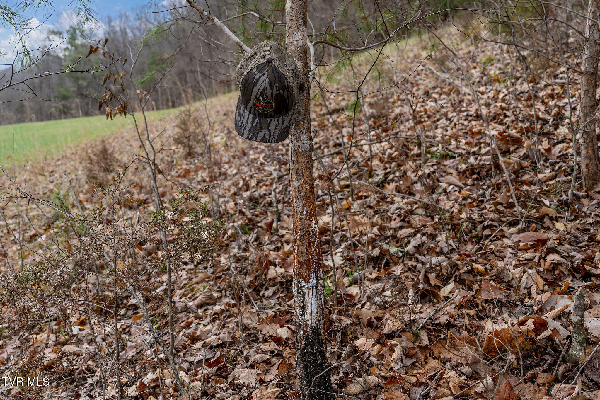 Tbd Piney Flats Road Watauga, TN 37694 - Photo 55 of 60 DSC07414