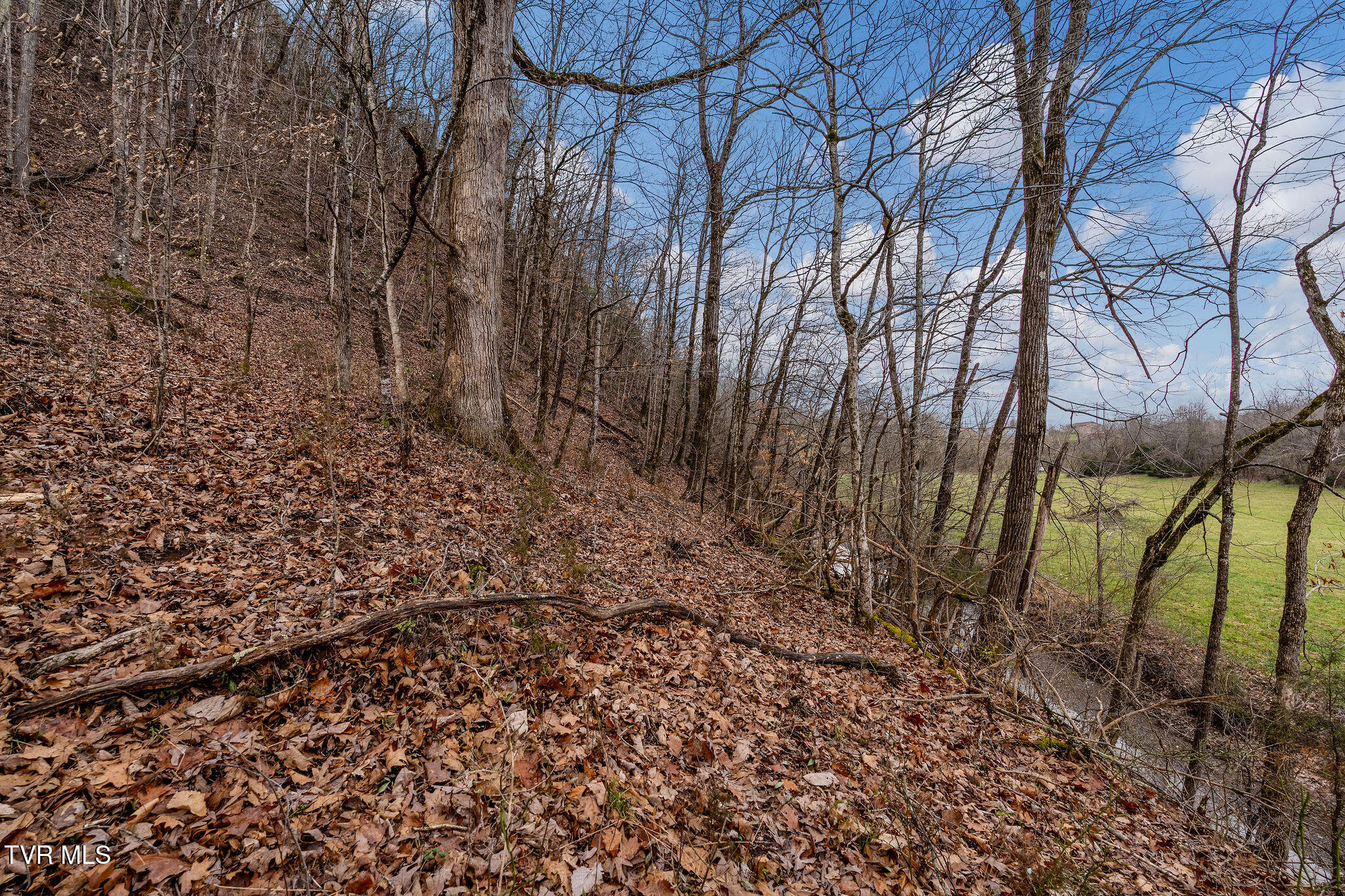 Tbd Piney Flats Road Watauga, TN 37694 - Photo 56 of 60 DSC07415