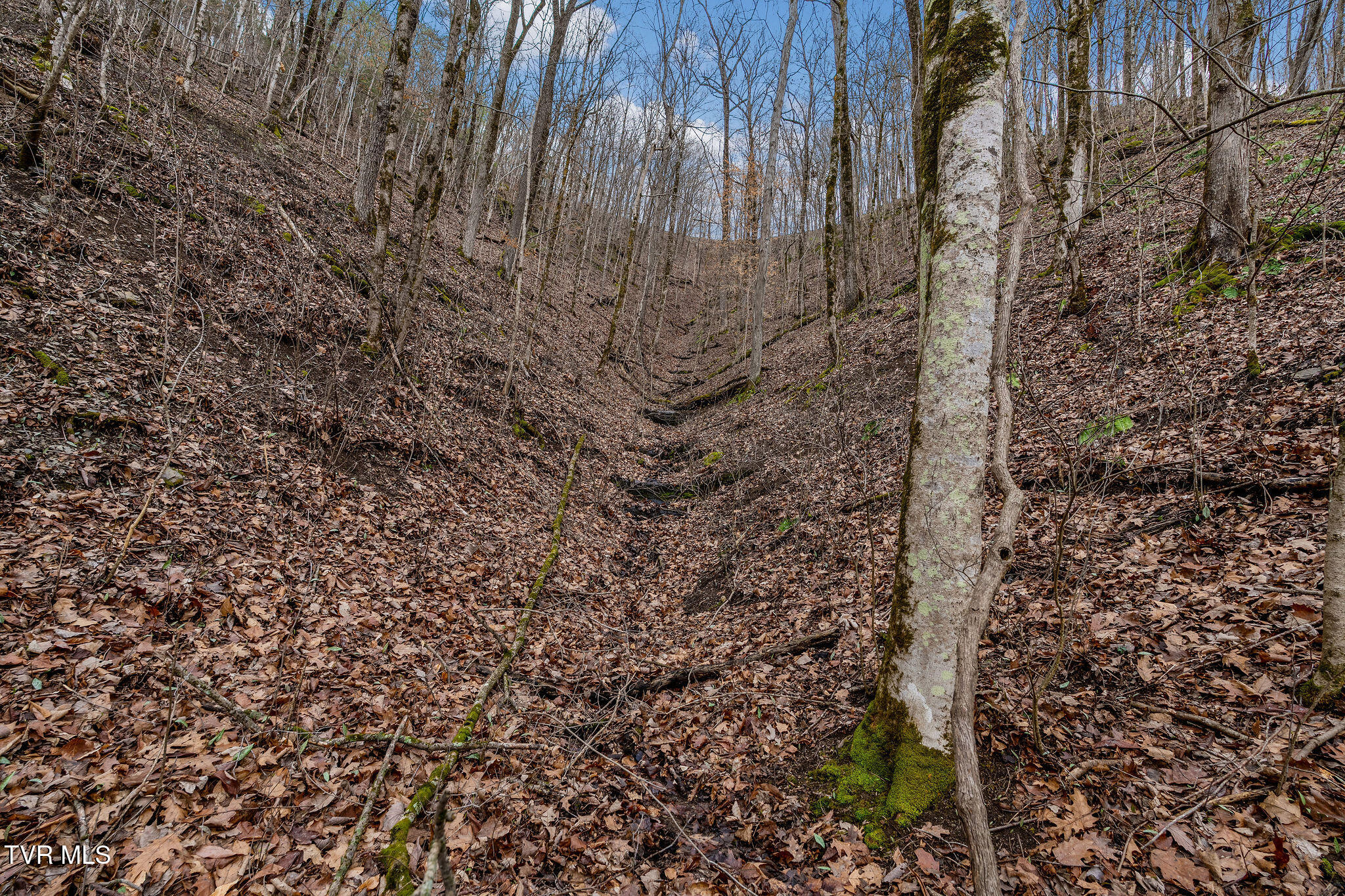 Tbd Piney Flats Road Watauga, TN 37694 - Photo 57 of 60 DSC07416