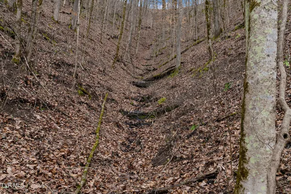 $550,000 | Tbd Piney Flats Road, Watauga, TN 37694
