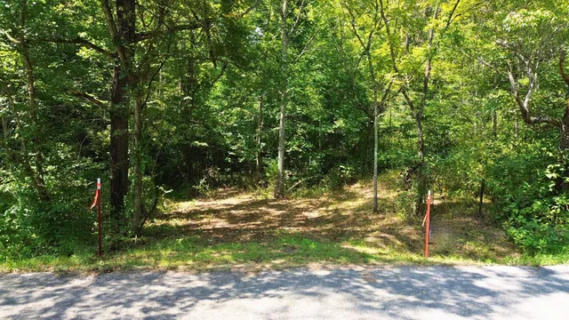 a view of a yard with plants and trees