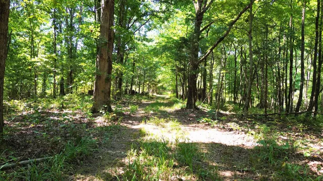 a view of outdoor space and yard
