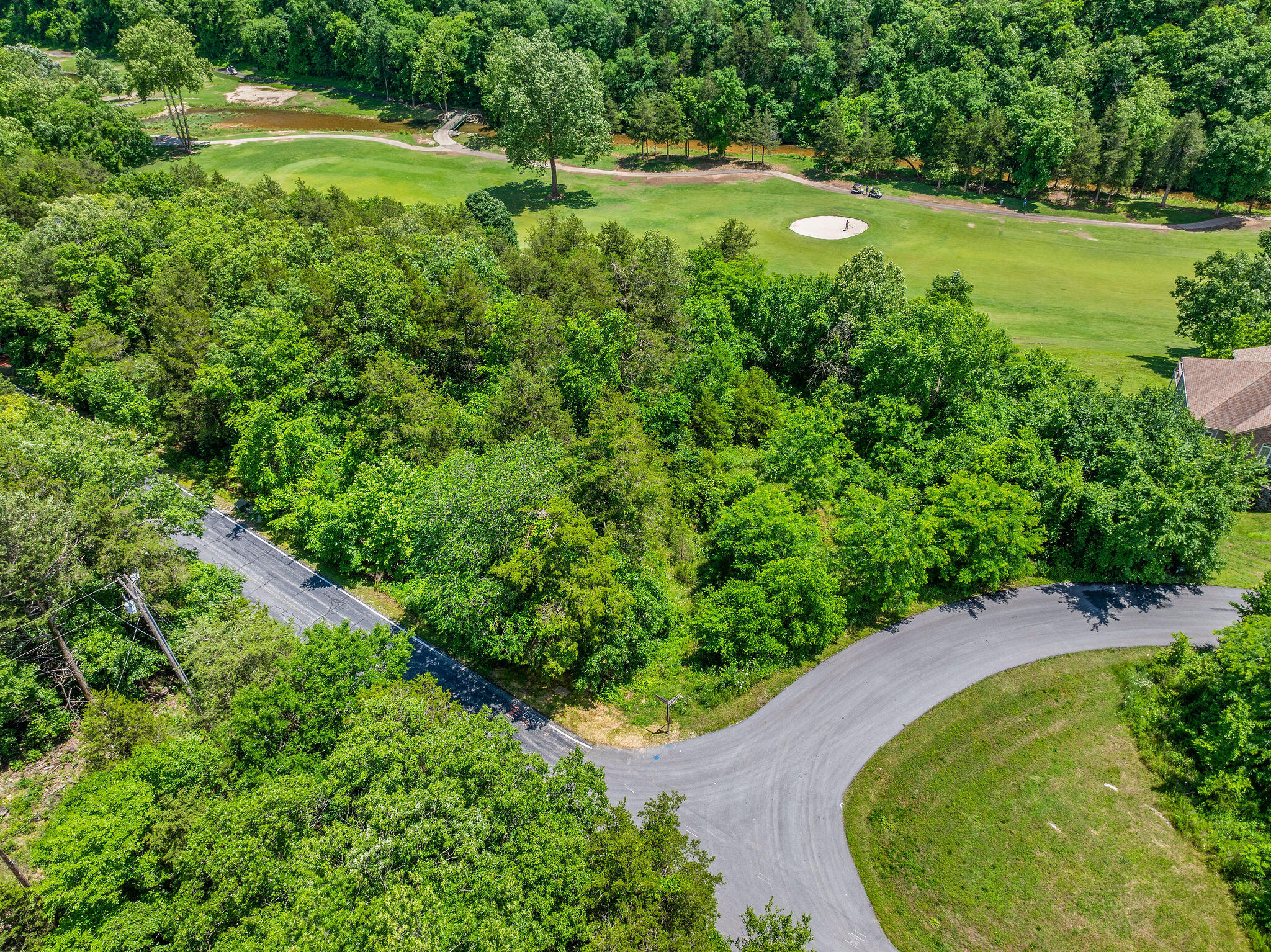 0 Lot 8 Forest Lake 2nd Add Branson Reeds Spring, MO 65737 - Photo 2 of 55 Drone