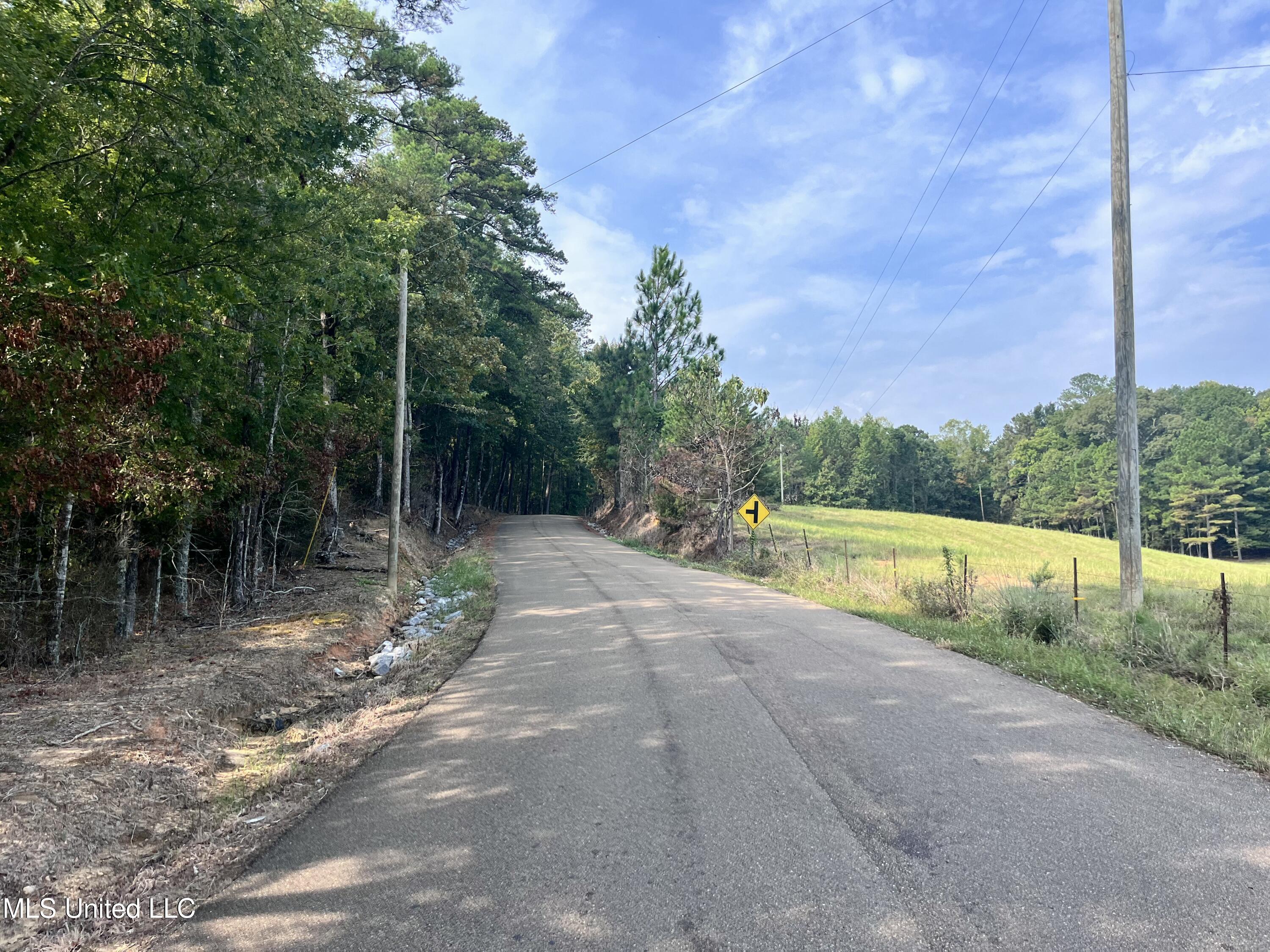 Poplar Springs Road Florence, MS 39073 - Photo 3 of 48 IMG_9075