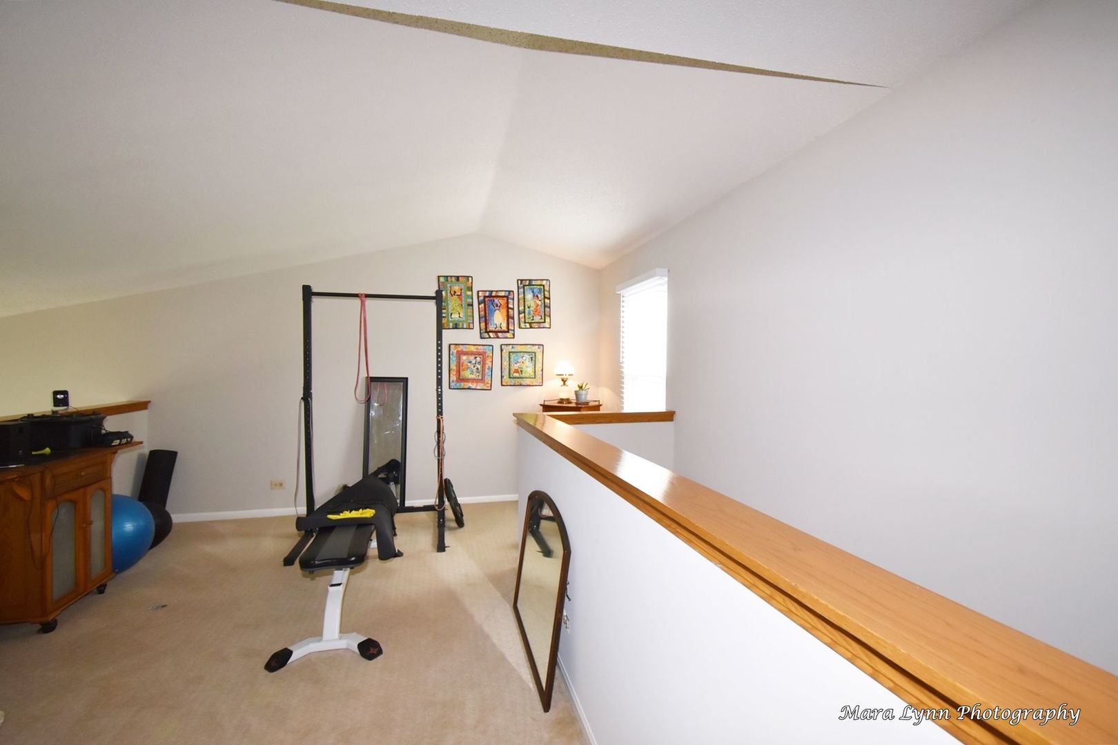 54 Jericho Lane Batavia, IL 60510 - Photo 22 of 29 a view of a room with gym equipment