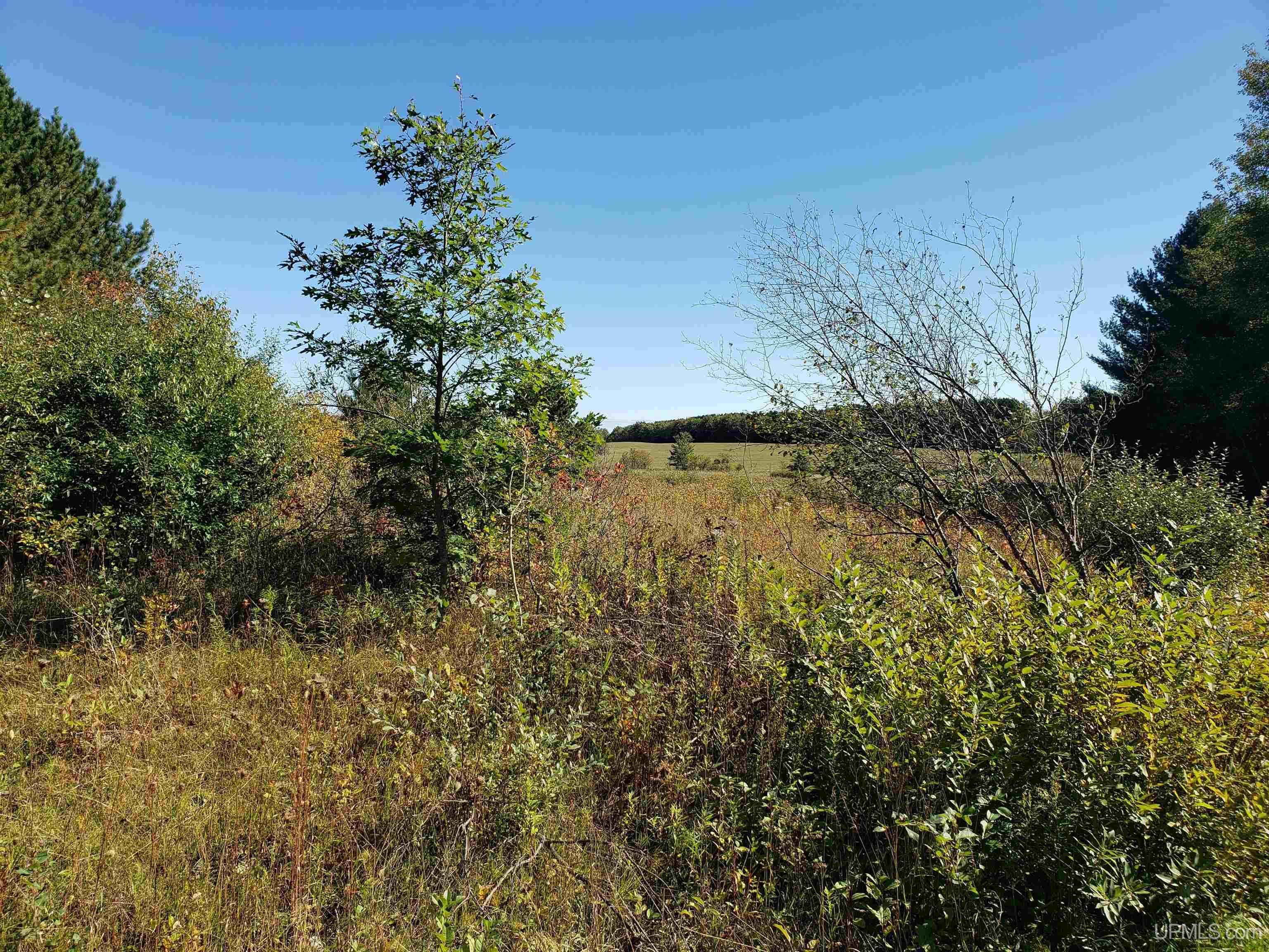 P2 Paradise Road Chassell, MI 49916 - Photo 18 of 22