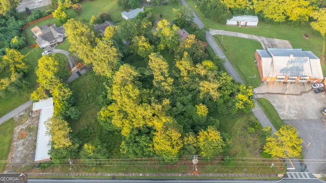 a bird view of a garden