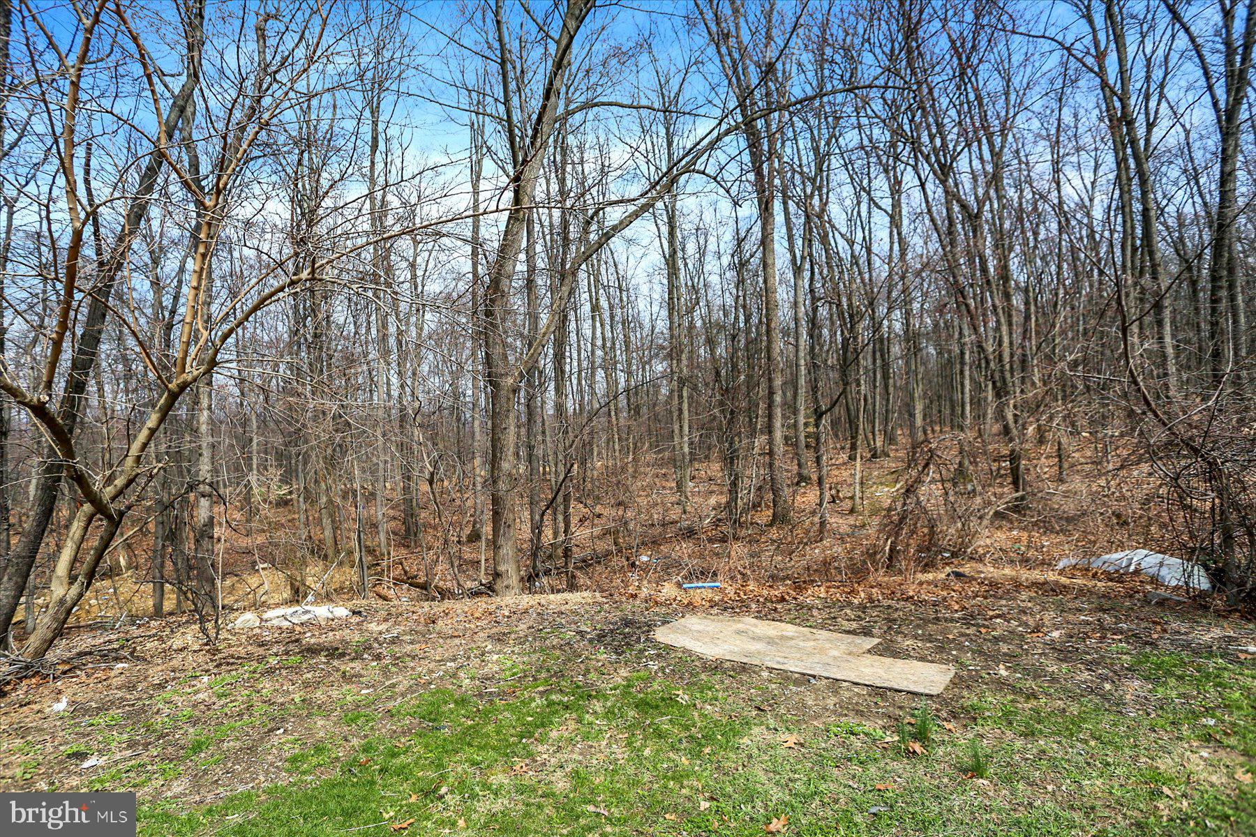 411 Mountain View Road Mount Holly Springs, PA 17065 - Photo 24 of 27