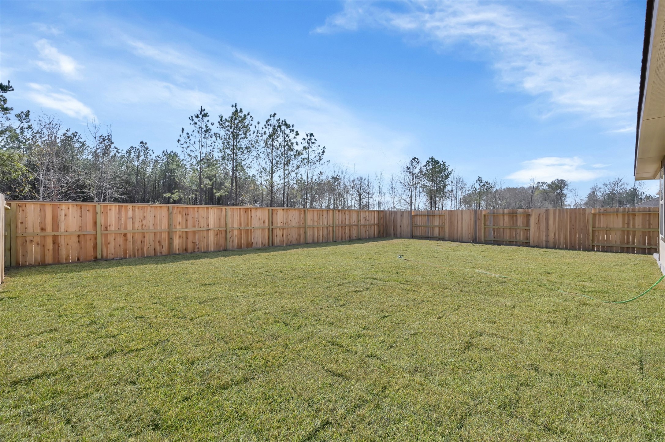 3806 Rock Ledge Drive Rosenberg, TX 77469 - Photo 17 of 23 Fully fenced yard offering privacy and open green space.