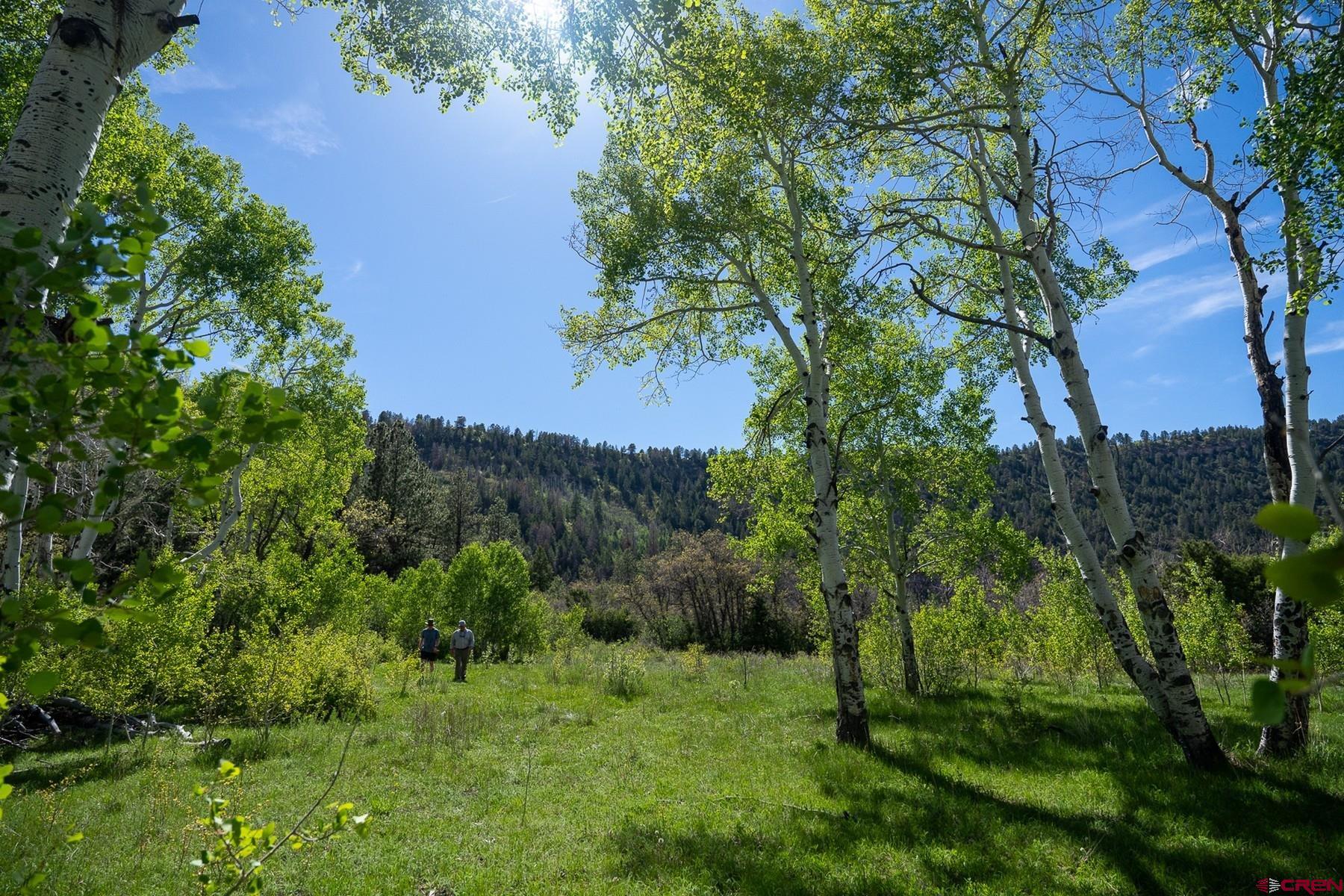 Tract 13-5 M44 Road Placerville, CO 81430 - Photo 3 of 22 Gallery Image 3