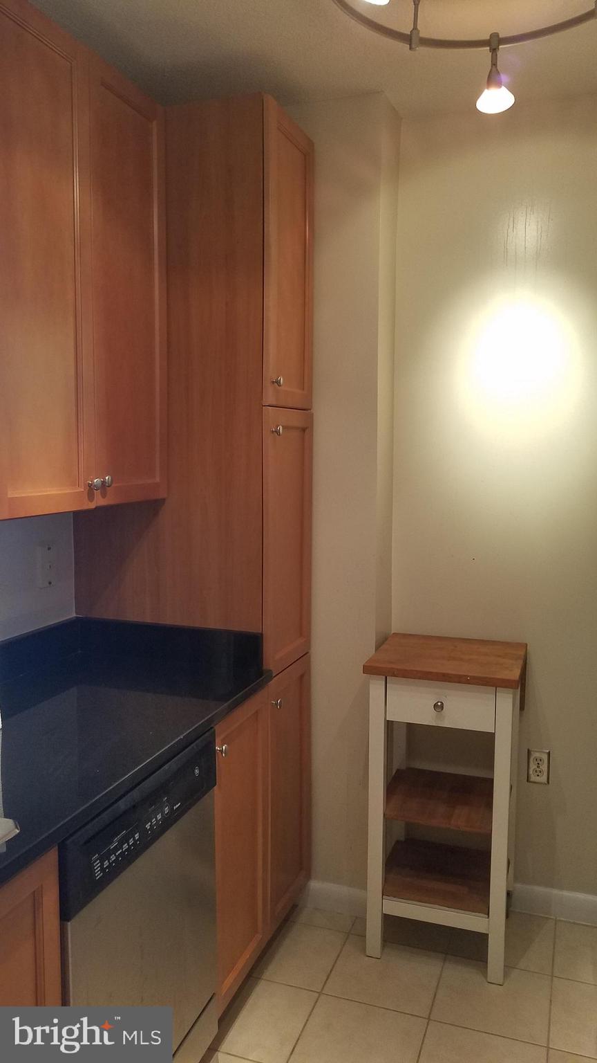 851 North Glebe Road, Unit 1015 Arlington, VA 22203 - Photo 5 of 29 a close view of walk in closet