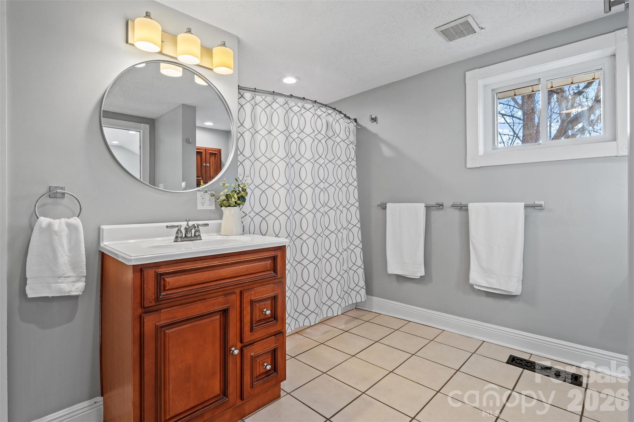 32 Youngs Cove Road Candler, NC 28715 - Photo 17 of 35 a bathroom with a sink a mirror and a shower