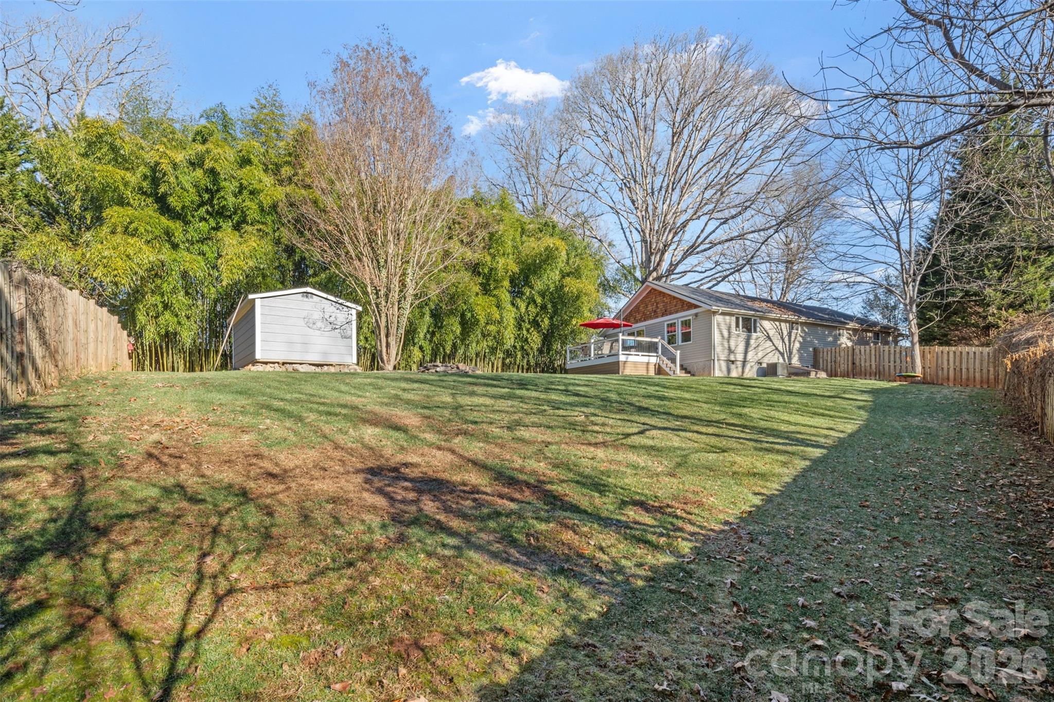 32 Youngs Cove Road Candler, NC 28715 - Photo 29 of 35 a view of a trees in front of a house