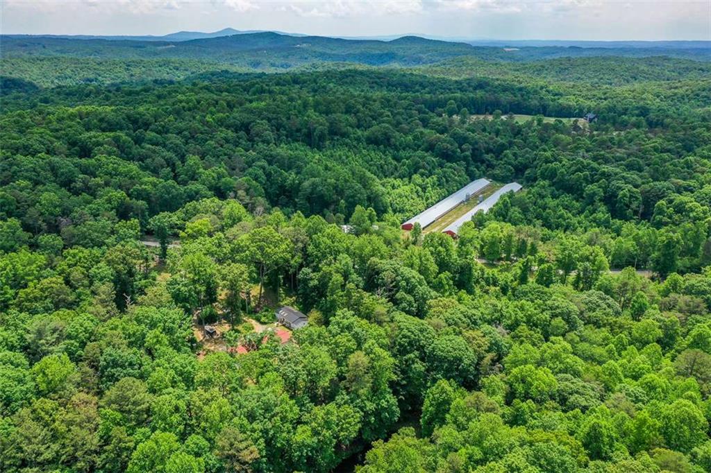 1010 Painter Road Talking Rock, GA 30175 - Photo 25 of 25 a view of a lush green forest with trees and some houses