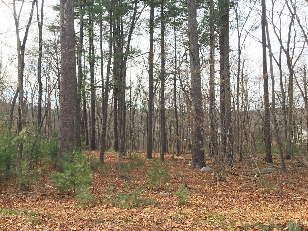 41 Hanover Road Carlisle, MA 01741 - Photo 2 of 2 Gallery Image 2