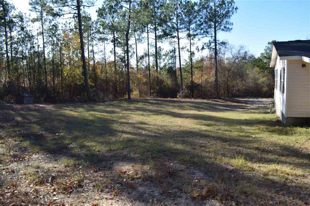 528 Juniper Creek Road Byron, GA 31008 - Photo 2 of 18 a view of a yard with large trees