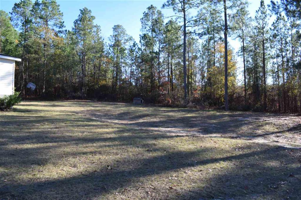 528 Juniper Creek Road Byron, GA 31008 - Photo 4 of 18 a view of basketball court