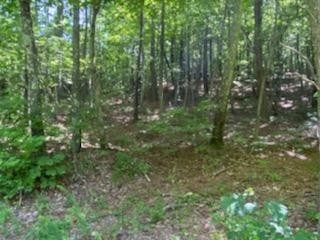638 Myrick Branch Road Pulaski, TN 38478 - Photo 13 of 16 Gallery Image 13