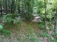 638 Myrick Branch Road Pulaski, TN 38478 - Photo 14 of 16 Gallery Image 14