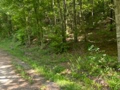 638 Myrick Branch Road Pulaski, TN 38478 - Photo 16 of 16 Gallery Image 16