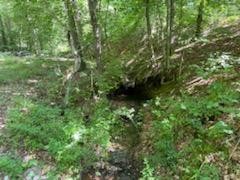 638 Myrick Branch Road Pulaski, TN 38478 - Photo 3 of 16 Gallery Image 3