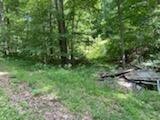 638 Myrick Branch Road Pulaski, TN 38478 - Photo 5 of 16 Gallery Image 5