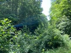 638 Myrick Branch Road Pulaski, TN 38478 - Photo 8 of 16 Gallery Image 8