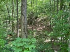 638 Myrick Branch Road Pulaski, TN 38478 - Photo 9 of 16 Gallery Image 9