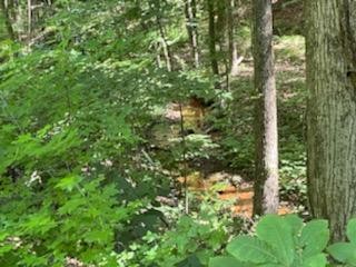 638 Myrick Branch Road Pulaski, TN 38478 - Photo 10 of 16 Gallery Image 10