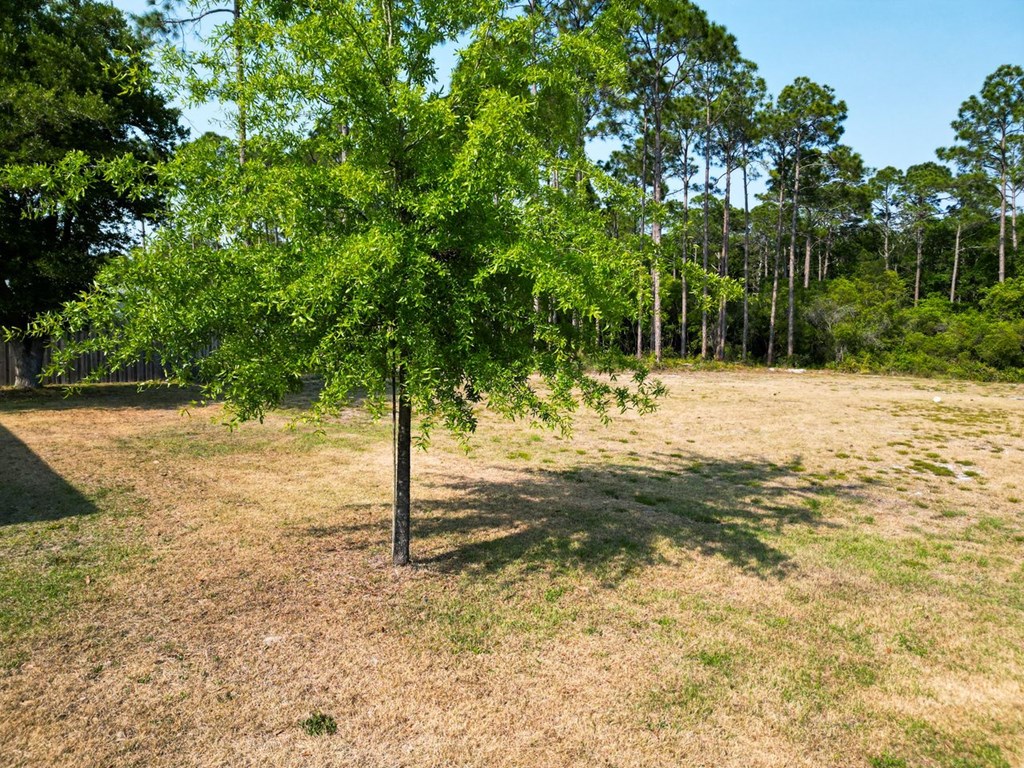 532 Jones Homestead Road Port St. Joe, FL 32456 - Photo 52 of 52 Gallery Image 52