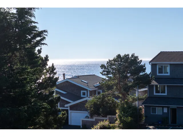 a view of a park with large trees