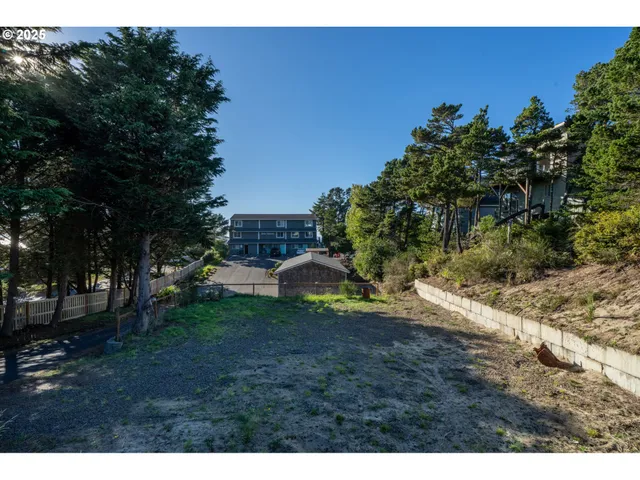 a view of yard with green space